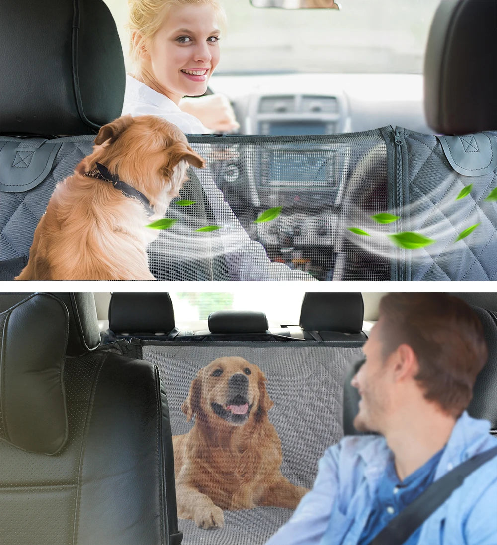 Car interior with a pet safety barrier, showing a woman and a man with their dogs.