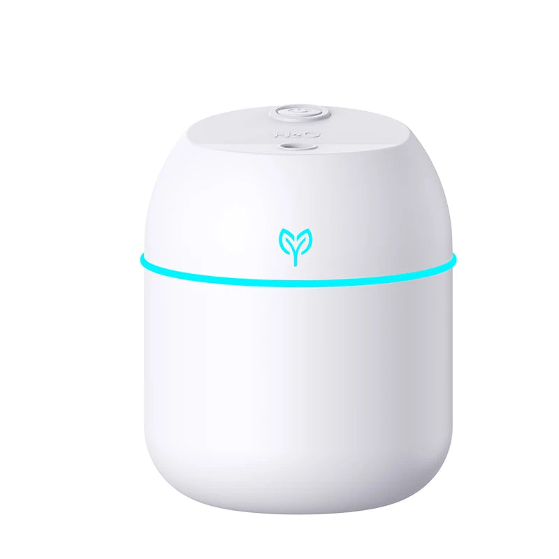 Portable USB Mini Humidifier & Aroma Diffuser with LED Light