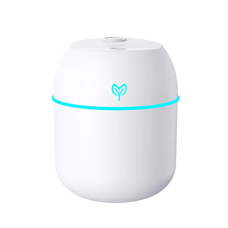 Portable USB Mini Humidifier & Aroma Diffuser with LED Light