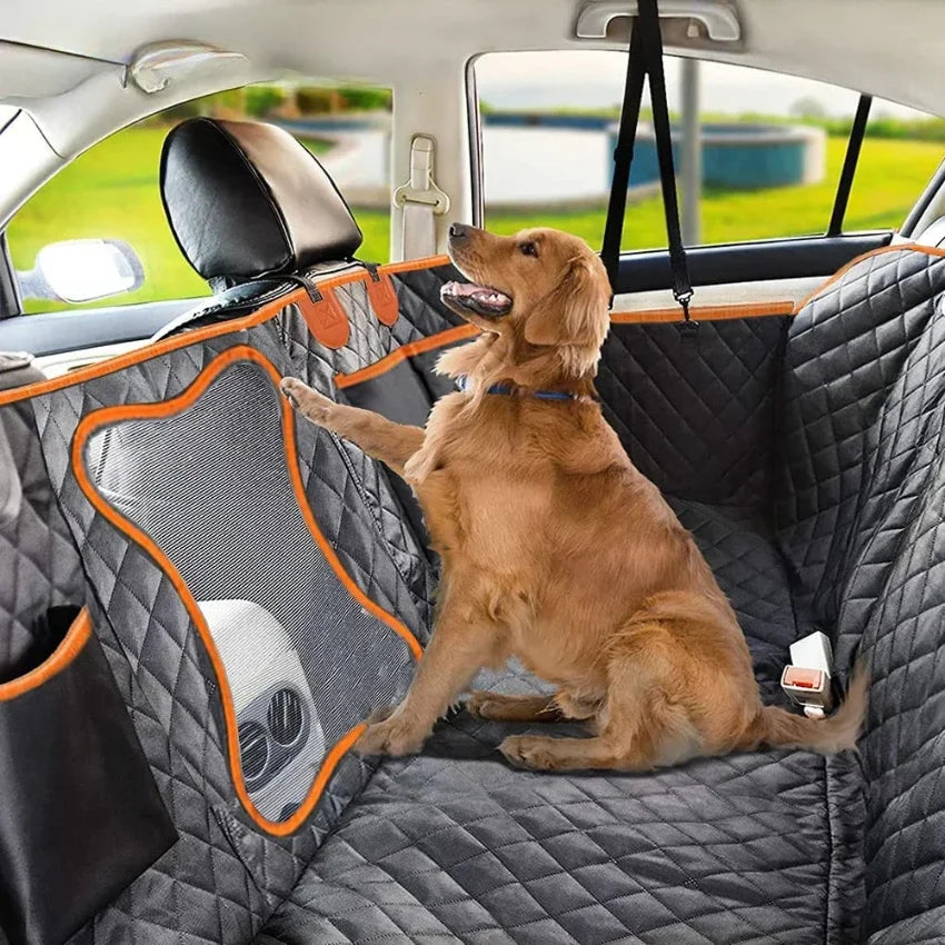 Dog sitting on a car seat cover with a visible car interior and window.